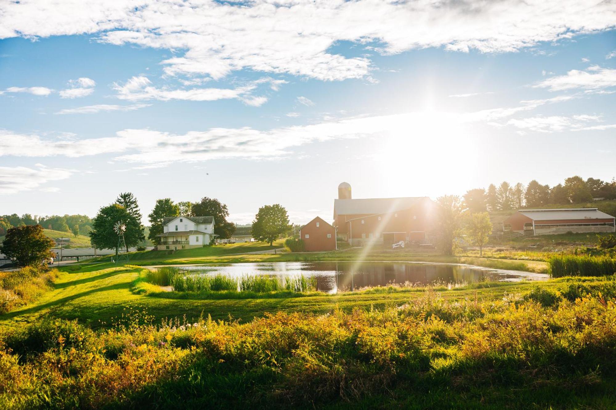 Downtown Escape Great For Large Families & Groups Villa Sugarcreek Eksteriør bilde